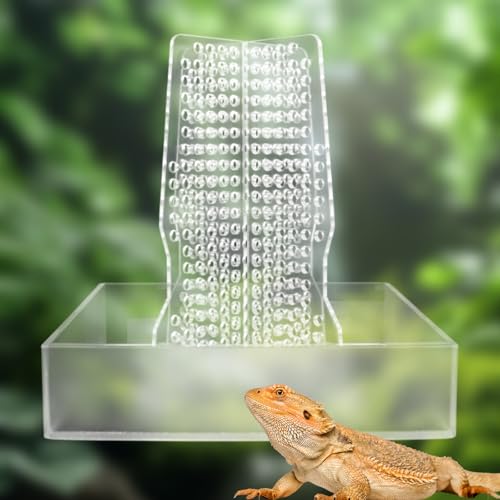 Chamäleon Feeder, Transparent Acryl Bartdrachen Futternapf Reptilien Terrarium & Aquarium Zubehör Kletterbarer Käfer Futternapf für Eidechse Frosch Gecko Chamäleon Feeder, Transparent Acryl Bartdrachen Futternapf Reptilien Terrarium & Aquarium Zubehör Kletterbarer Käfer Futternapf für Eidechse Frosch Gecko von Neeenn