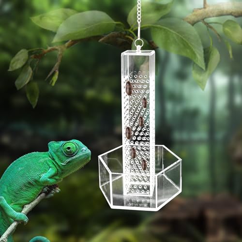 Chamäleon Futternapf, Hängender transparenter Acryl-Futterspender für Bartdrachen mit Säule für Insekten zum Klettern, Reptilien-Tank Aquarium Zubehör für Eidechse Lguana Gecko Kröte Frosch Chamäleon Futternapf, Hängender transparenter Acryl-Futterspender für Bartdrachen mit Säule für Insekten zum Klettern, Reptilien-Tank Aquarium Zubehör für Eidechse Lguana Gecko Kröte Frosch von Neeenn
