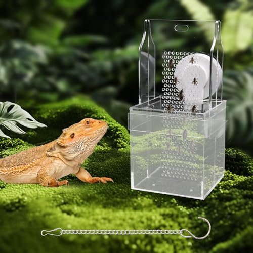 Chamäleon Futternapf Hängen/Montiert Transluzent Acryl Bartdrachen Feeder mit Gitterplatte für Käfer Klettern und Bewegen, Aquarium & Terrarium Zubehör für Eidechse Leguan Chamäleon Futternapf Hängen/Montiert Transluzent Acryl Bartdrachen Feeder mit Gitterplatte für Käfer Klettern und Bewegen, Aquarium & Terrarium Zubehör für Eidechse Leguan von Neeenn