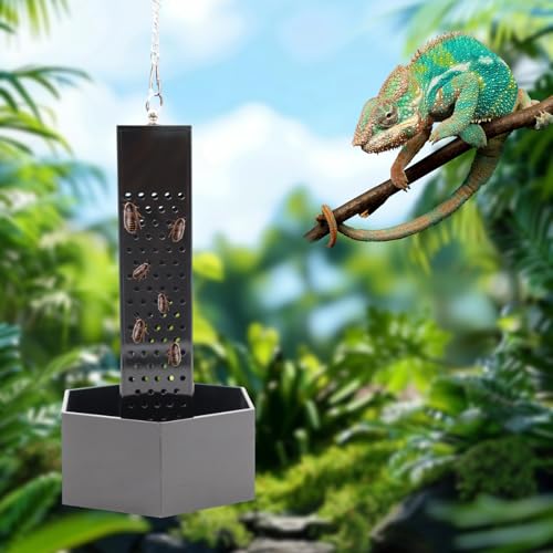 Chamäleon Futternapf Hängender Schwarzer Acryl Bartdrachen Futterspender mit Säule für Insekten zum Klettern Reptilienbecken Aquarium Zubehör für Eidechse Lguana Gecko Kröte Frosch Chamäleon Futternapf Hängender Schwarzer Acryl Bartdrachen Futterspender mit Säule für Insekten zum Klettern Reptilienbecken Aquarium Zubehör für Eidechse Lguana Gecko Kröte Frosch von Neeenn