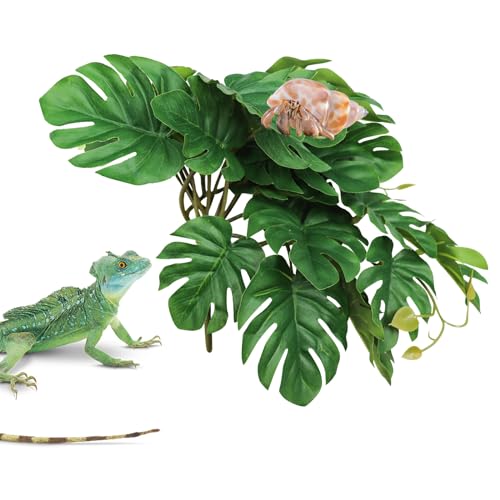 Einsiedlerkrebs Kletterspielzeug, Kunststoff Simulierte Schildkrötenblattpflanze mit Saugnapf, Einsiedlerkrebs Supplies, Reptilien-Tank Aquarium Terrarium Dekor Zubehör, Lebensraum Dekor für Eidechsen Einsiedlerkrebs Kletterspielzeug, Kunststoff Simulierte Schildkrötenblattpflanze mit Saugnapf, Einsiedlerkrebs Supplies, Reptilien-Tank Aquarium Terrarium Dekor Zubehör, Lebensraum Dekor für Eidechsen von Neeenn