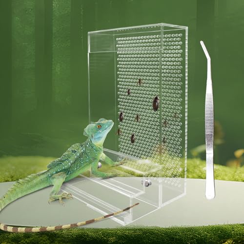 Großer Bartagamen-Futterspender Chamäleon Käfer Schüssel Kit mit Stufen Transparente Acryl Reptilien Feeder Box Tank & Aquarium Zubehör Insektenfutterspender für Reptilien Eidechse Gecko Frosch 8,2 × Großer Bartagamen-Futterspender Chamäleon Käfer Schüssel Kit mit Stufen Transparente Acryl Reptilien Feeder Box Tank & Aquarium Zubehör Insektenfutterspender für Reptilien Eidechse Gecko Frosch 8,2 × von Neeenn