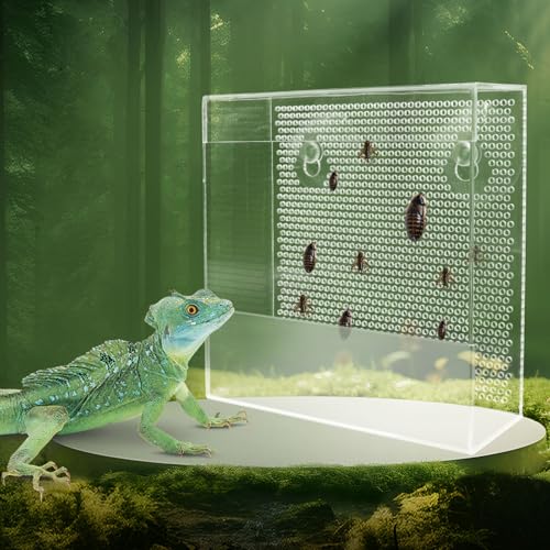 Großer Bartdrachen Futterspender Chamäleon Käfer Schale Transparentk Acryl Reptilien Feeder Box Wandmontage Insekten Feeder mit Saugnäpfen Tank und Aquarium Zubehör für Eidechse Bartagamische Gecko Großer Bartdrachen Futterspender Chamäleon Käfer Schale Transparentk Acryl Reptilien Feeder Box Wandmontage Insekten Feeder mit Saugnäpfen Tank und Aquarium Zubehör für Eidechse Bartagamische Gecko von Neeenn