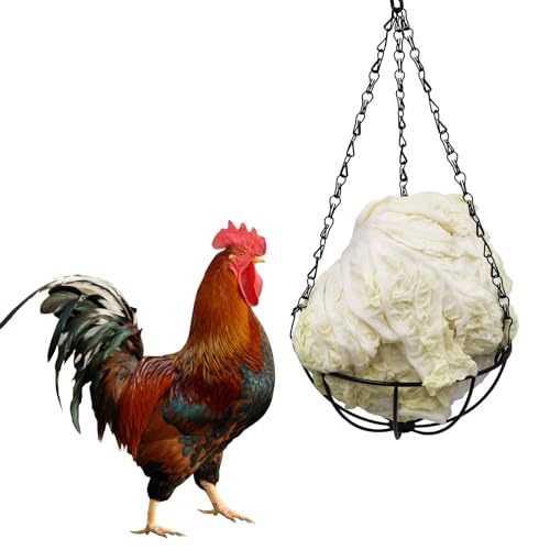 Neeenn Hühner-Futterspender Hühnergemüse Futterball Hängender Metall Gemüse Obst Futterkorb Hühnerstall Zubehör Geeignet für Huhn Küken Ente Kaninchen von Neeenn