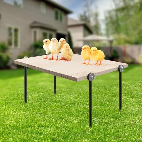 Hühnerbarsch Spielzeug für Stall, Holz Küken Roosting Bar mit Metall Bodenstopfen Stall Zubehör für Geflügel Hahn Henne Küken Großer Vogel Papagei Hühnerbarsch Spielzeug für Stall, Holz Küken Roosting Bar mit Metall Bodenstopfen Stall Zubehör für Geflügel Hahn Henne Küken Großer Vogel Papagei von Neeenn