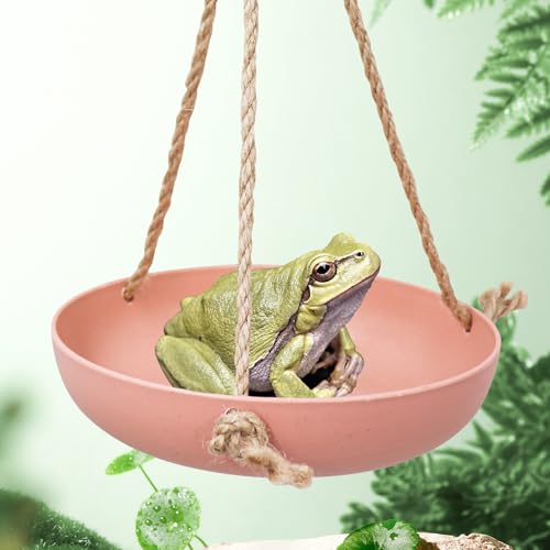 Neeenn Frosch Schaukel Spielzeug, Gecko Swing Toys, Kunststoff Reptilien Amphibien Kletterspielzeug Tank Aquarium Terrarium Dekoration Zubehör, Geeignet für Frosch Gecko Eidechse Chamäleon Neeenn Frosch Schaukel Spielzeug, Gecko Swing Toys, Kunststoff Reptilien Amphibien Kletterspielzeug Tank Aquarium Terrarium Dekoration Zubehör, Geeignet für Frosch Gecko Eidechse Chamäleon von Neeenn