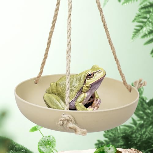 Neeenn Frosch Schaukel Spielzeug Kunststoff Reptilien Amphibien Kletterspielzeug Tank Aquarium Terrarium Dekoration Zubehör Geeignet für Frosch Gecko Eidechse Chamäleon Einsiedlerkrebs (Beige, Klein) Neeenn Frosch Schaukel Spielzeug Kunststoff Reptilien Amphibien Kletterspielzeug Tank Aquarium Terrarium Dekoration Zubehör Geeignet für Frosch Gecko Eidechse Chamäleon Einsiedlerkrebs (Beige, Klein) von Neeenn