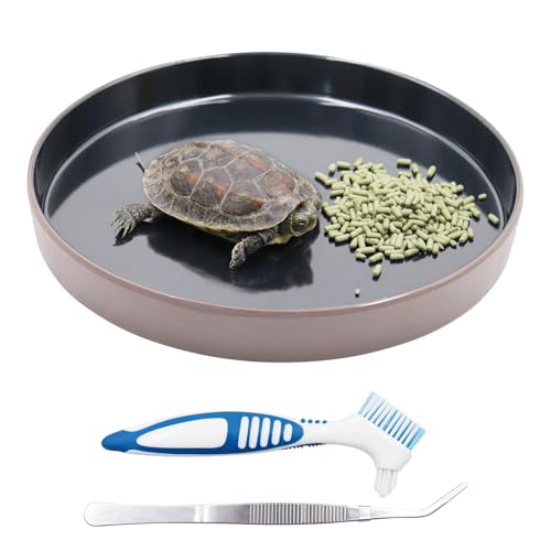Reptilienfutter Wassernapf, Kunststoff Runde Schildkröte Futternapf Amphibien Futternapf Tank Terrarium Zubehör für Bartdrache Schlange Einsiedler Krabbe Schildkröte Eidechse Schlange Eidechse Reptilienfutter Wassernapf, Kunststoff Runde Schildkröte Futternapf Amphibien Futternapf Tank Terrarium Zubehör für Bartdrache Schlange Einsiedler Krabbe Schildkröte Eidechse Schlange Eidechse von Neeenn