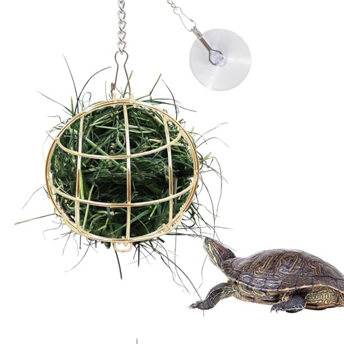 Schildkröten-Leckerli-Ball Spielzeug, hängende Schildkröte Edelstahl Heu Feeder Ball, Kleintiergras Obst Gemüse Feeder Halter, geeignet für Schildkröte Schildkröte Meerschweinchen Hamster Ratte von Neeenn