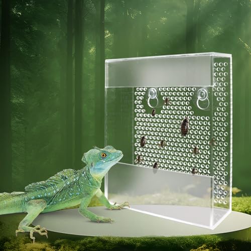 Transparente Acryl Reptilien Feeder Box Wandmontage Insektenfutterspender mit Saugnäpfen Tank und Aquarium Zubehör für Bartagame, Eidechse, Gecko, Frosch Transparente Acryl Reptilien Feeder Box Wandmontage Insektenfutterspender mit Saugnäpfen Tank und Aquarium Zubehör für Bartagame, Eidechse, Gecko, Frosch von Neeenn