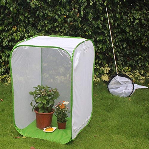 Neel Tragbarer Raupenlebensraum, Zuchtkäfig, Lebensraum, für Hinterhofkäfig-Inkubator Kultivieren Sie Insekten(40 * 40 * 60cm) von Neel