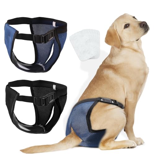 2er Pack Läufigkeitshose für Hündinnen, Wiederverwendbare Höschen für Hunde Läufigkeit mit 6 Damenbinden, Waschbare Verstellbare Hundehöschen Läufigkeit, Läufigkeitshose Schwarz und Blau (XL) 2er Pack Läufigkeitshose für Hündinnen, Wiederverwendbare Höschen für Hunde Läufigkeit mit 6 Damenbinden, Waschbare Verstellbare Hundehöschen Läufigkeit, Läufigkeitshose Schwarz und Blau (XL) von Neerow