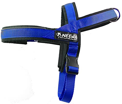 Neewa 8033087538243 – Sport Harness Blau Medium von Neewa