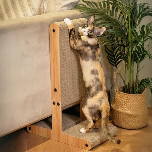 Nekosan Katzenkratzer, T-förmiger Katzenkratzer für Indoor-Katzen, doppelseitiger Katzenmöbelschutz, 59,9 x 42,9 x 24,4 cm groß, Karton Katzenkratzer mit Ballspielzeug Nekosan Katzenkratzer, T-förmiger Katzenkratzer für Indoor-Katzen, doppelseitiger Katzenmöbelschutz, 59,9 x 42,9 x 24,4 cm groß, Karton Katzenkratzer mit Ballspielzeug von Nekosan