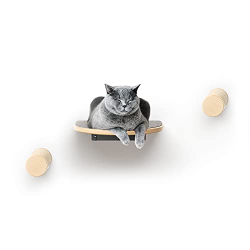 Nelix® Katzenkletterwand Starter – 3-teiliges Set für kleine Reviere – mit Kratzästen & Treppe – platzsparend, erweiterbar, massiv & stilvoll für Dein Zuhause von Nelix