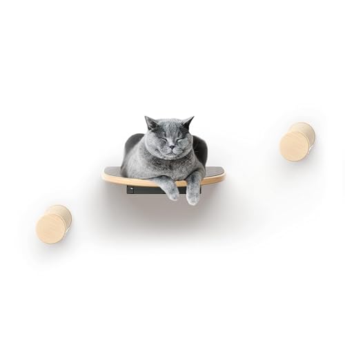 Nelix Katzenkletterwand | Kratzbaum 2.0 für Katzen | Katzenbaum aus Echtholz | Katzentreppe Katzenmöbel Hängematte (3-teilig) von Nelix