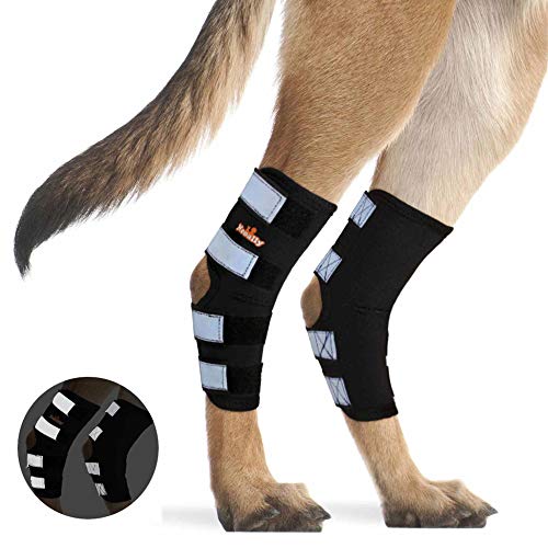NeoAlly 1 Paar Hundeschiene für Hinterbeine, mit reflektierenden Sicherheitsgurten für Gelenkverletzungen und Verstauchungsschutz, Wundheilung und Stabilitätsverlust durch Arthritis (XL-Paar) von NeoAlly