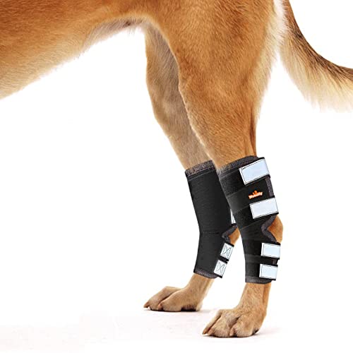 NeoAlly Dog Back Leg Braces [Long Pair] Canine Hind Leg Hock Sleeves with Safety Reflective Straps for Joint Injury and Sprain Protection, Wound Healing and Arthritis (Large Long Pair) von NeoAlly