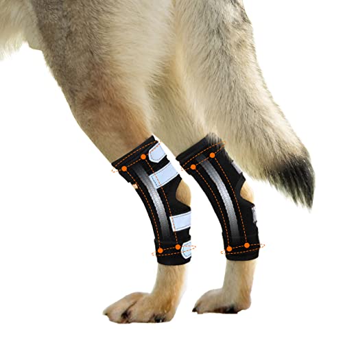 NeoAlly Dog Braces for Back Legs Dual Metal Spring Strips Super Supportive to Stabilize Both Legs, Help Dogs with Injuries Sprains Arthritis ACL CCL (X-Small Pair) von NeoAlly