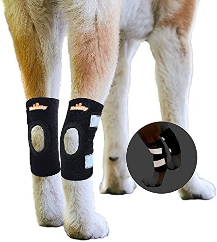 NeoAlly Dog Leg Braces Hind Ankle Support [Pair] Canine Rear Hock Sleeves with Safety Reflective Straps for Injury, Sprain, Wound Healing and Loss of Stability from Arthritis (Medium Pair) von NeoAlly