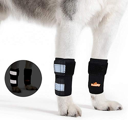 NeoAlly Dog & Cat Front Leg Braces [Pair] Carpal Support with Safety Reflective Straps for Front Hock Joint, Cruciate Ligament, Wound Healing and Loss of Stability from Arthritis (S/M, Black) von NeoAlly
