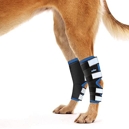 NeoAlly Hind Hock Bandagen für Hinterbeine, mit reflektierenden Sicherheitsgurten für Verletzungen und Verstauchungen, Wundheilung und Stabilitätsverlust durch Arthritis – 3 Farben (Paar), L, blau von NeoAlly