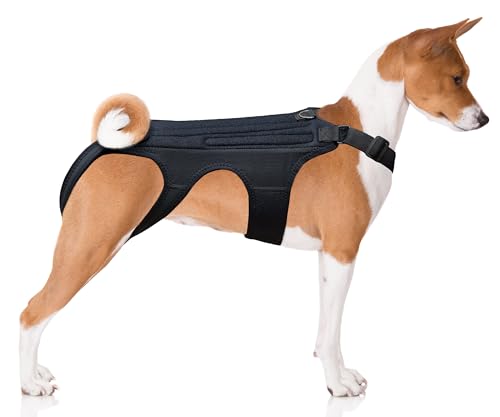 NeoAlly Hunde-Rückenbandage für Hunde, Arthritis, IVDD, Wirbelsäulen-chirurgische Genesung und Prävention von Rückenerkrankungen, Größe M von NeoAlly