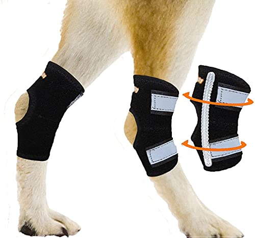 NeoAlly Hundehosenträger für Hinterbein und Hockgelenk, mit Doppelfederstreifen, stabilisiert die Hinterbeine von Wunden, Verletzungen, Verstauchungen, Arthritis, L von NeoAlly