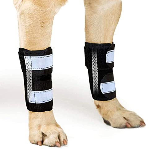 NeoAlly Pair Front Leg Braces for Dogs and Cats with Metal Strip Inserts to Stabilize and Support Canine Wrist Carpal Joints, Super Supportive to Prevent Leg Injuries Sprains Arthritis (X-Small) von NeoAlly