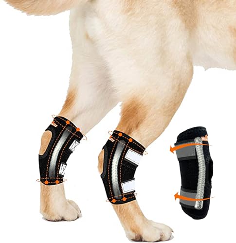 NeoAlly Super Supportive Dog Braces for Rear Hock Joint with Dual Metal Spring Strips Stabilize Canine Hind Legs from Wound Injury Sprains Arthritis (Small Pair) von NeoAlly