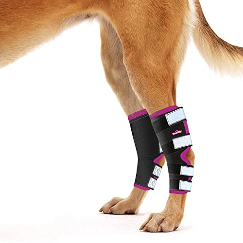 NeoSportsLab Hunde-Beinbandage, für Hinterbeine, Pink, Größe XS von NeoAlly