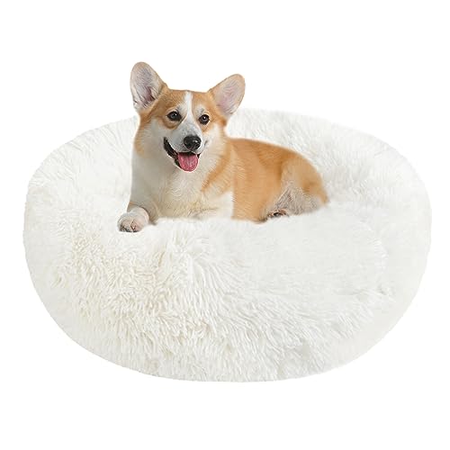 Hundebett Katzenbett Flauschig Rund aus Plüsch - Donut Kuscheliges Hundekissen Hundekorb Waschbar S/M/L/XL/XXL für Kleine, Mittelgroße und Große Hunde, Katzen und Andere Haustiere (XL-70cm, Weiß) von Nepfaivy