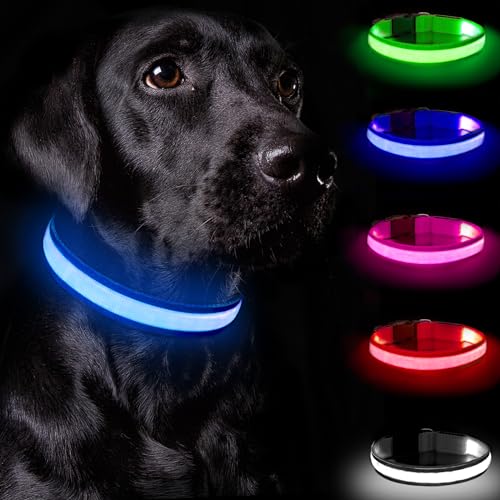 Nepfaivy Leuchthalsband Hund USB Aufladbar - Hundehalsband Leuchtend mit Verstellbarer Länge für Kleine Mittlere Große Hunde, LED Halsband Hund mit 3 Beleuchtungsmodi für Nacht Sicherheit, (Blau-L) von Nepfaivy