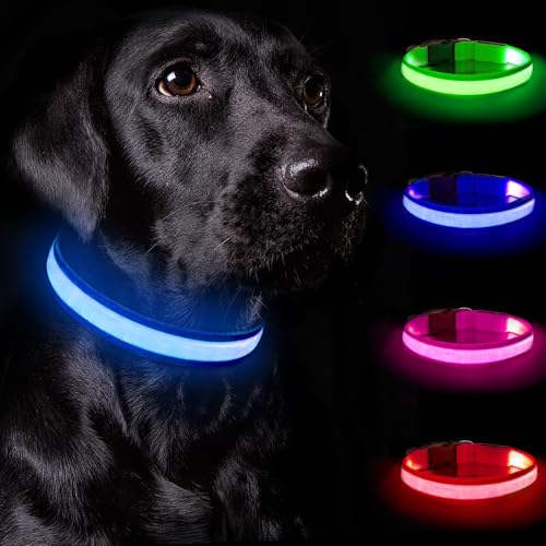 Nepfaivy Leuchthalsband Hund USB Aufladbar - Hundehalsband Leuchtend mit Verstellbarer Länge für Große Hunde, LED Halsband Hund mit 3 Beleuchtungsmodi für Nacht Sicherheit, (Blau-L) von Nepfaivy