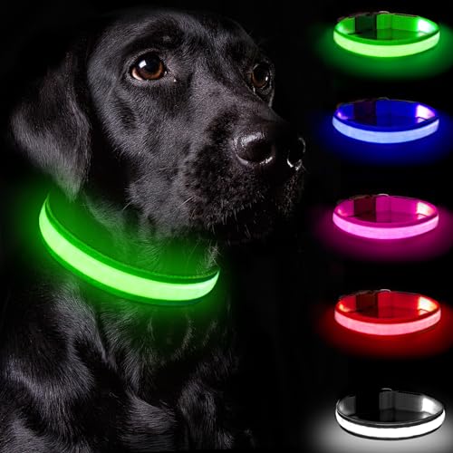 Nepfaivy Leuchthalsband Hund USB Aufladbar - Hundehalsband Leuchtend mit Verstellbarer Länge für Kleine Mittlere Große Hunde, LED Halsband Hund mit 3 Beleuchtungsmodi für Nacht Sicherheit, (Grün-S) von Nepfaivy