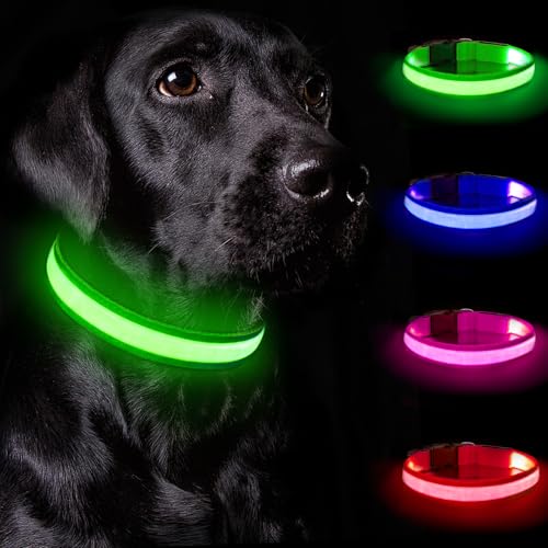 Nepfaivy Leuchthalsband Hund USB Aufladbar - Hundehalsband Leuchtend mit Verstellbarer Länge für Mittelgroße bis Große Hunde, LED Halsband Hund mit 3 Beleuchtungsmodi für Nacht Sicherheit, (Grün-M) von Nepfaivy