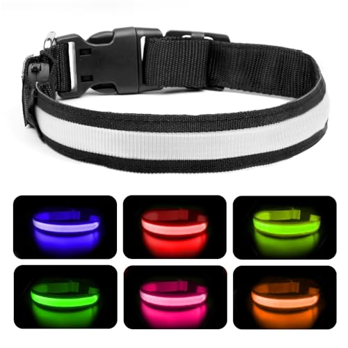 Nepfaivy Leuchthalsband Hund USB Aufladbar - Hundehalsband Leuchtend mit Verstellbarer Länge für Mittelgroße bis Große Hunde, LED Halsband Hund 6 Farbwechsel für Nacht Sicherheit, (Mehrfarbig-M) von Nepfaivy
