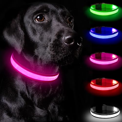 Nepfaivy Leuchthalsband Hund USB Aufladbar - Hundehalsband Leuchtend mit Verstellbarer Länge für Kleine Mittlere Große Hunde, LED Halsband Hund mit 3 Beleuchtungsmodi für Nacht Sicherheit, (Rosa-L) von Nepfaivy