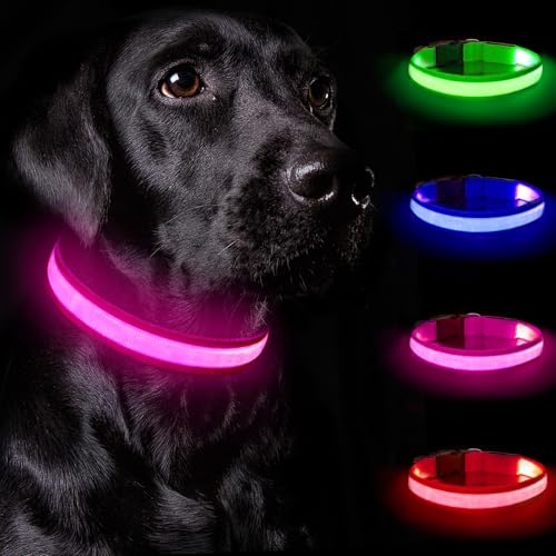 Nepfaivy Leuchthalsband Hund USB Aufladbar - Hundehalsband Leuchtend mit Verstellbarer Länge für Kleine Mittlere Große Hunde, LED Halsband Hund mit 3 Beleuchtungsmodi für Nacht Sicherheit, (Rosa-S) von Nepfaivy