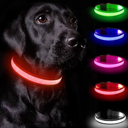 Nepfaivy Leuchthalsband Hund USB Aufladbar - Hundehalsband Leuchtend mit Verstellbarer Länge für Kleine Mittlere Große Hunde, LED Halsband Hund mit 3 Beleuchtungsmodi für Nacht Sicherheit, (Rot-L) von Nepfaivy