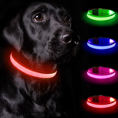 Nepfaivy Leuchthalsband Hund USB Aufladbar - Hundehalsband Leuchtend mit Verstellbarer Länge für Große Hunde, LED Halsband Hund mit 3 Beleuchtungsmodi für Nacht Sicherheit, (Rot-L) von Nepfaivy
