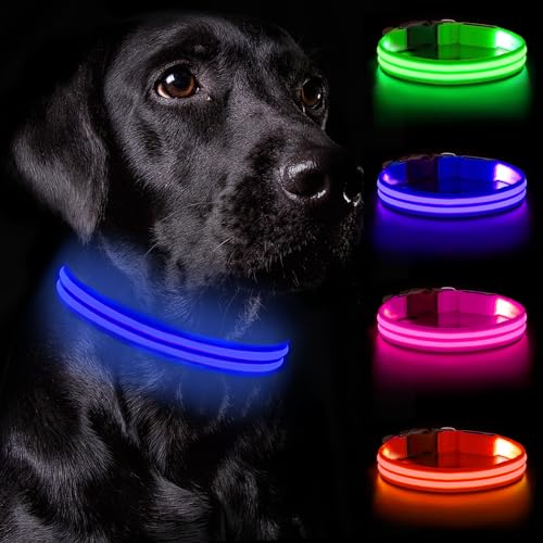 Nepfaivy Leuchthalsband Hund USB Aufladbar - Hundehalsband Leuchtend Wasserdicht mit Verstellbarer Länge, LED Halsband Hund für Große Hunde mit 3 Beleuchtungsmodi für Nacht Sicherheit, Blau - L von Nepfaivy