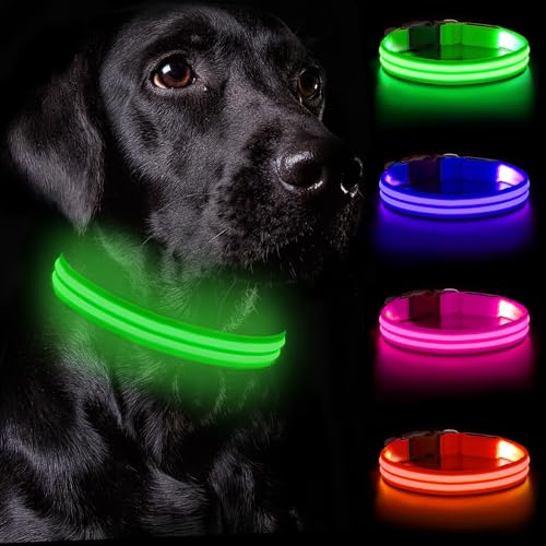 Nepfaivy Leuchthalsband Hund USB Aufladbar - Hundehalsband Leuchtend Wasserdicht mit Verstellbarer Länge, LED Halsband Hund für Große Hunde mit 3 Beleuchtungsmodi für Nacht Sicherheit, Grün - L von Nepfaivy