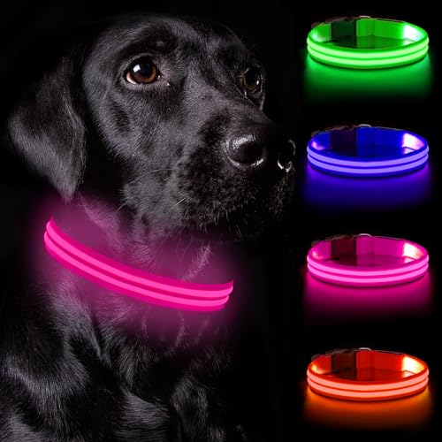Nepfaivy Leuchthalsband Hund USB Aufladbar - Hundehalsband Leuchtend Wasserdicht mit Verstellbarer Länge, LED Halsband Hund für Große Hunde mit 3 Beleuchtungsmodi für Nacht Sicherheit, Rosa - L von Nepfaivy