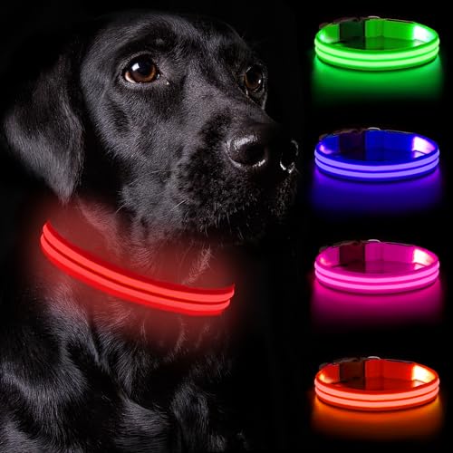 Nepfaivy Leuchthalsband Hund USB Aufladbar - Hundehalsband Leuchtend Wasserdicht mit Verstellbarer Länge, LED Halsband Hund für Große Hunde mit 3 Beleuchtungsmodi für Nacht Sicherheit, Rot - L von Nepfaivy