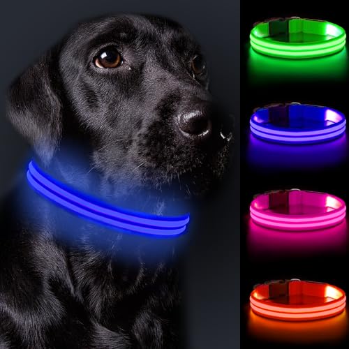 Nepfaivy Leuchthalsband Hund USB Aufladbar - Hundehalsband Leuchtend Wasserdicht mit Verstellbarer Länge, LED Halsband Hund für Mittlere und Große Hunde mit 3 Beleuchtungsmodi für Sicherheit, Blau - M von Nepfaivy