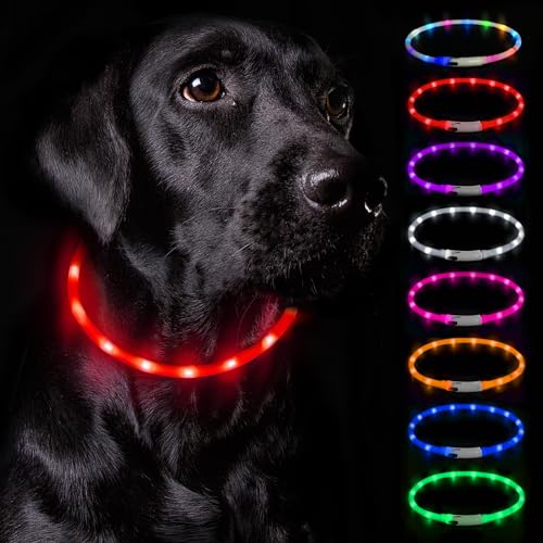 Nepfaivy Leuchthalsband Hund USB Aufladbar - Hundehalsband Leuchtend Wasserdicht mit Verstellbarer Länge, LED Halsband für Hunde mit 3 Beleuchtungsmodi für Sicherheit, Rot von Nepfaivy