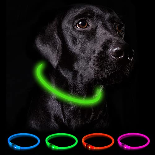 Nepfaivy Leuchthalsband Hund USB Aufladbar - Wasserdichtes Hundehalsband Leuchtend mit 3 Beleuchtungsmodi, Längenverstellbareres LED Halsband für Kleine, Mittlere und Große Hunde (Grün) von Nepfaivy