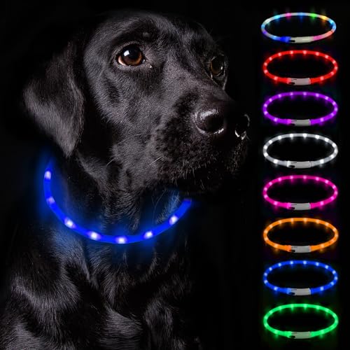 Nepfaivy Leuchthalsband Hund USB Aufladbar - Wasserdichtes Hundehalsband Leuchtend mit Verstellbarer Länge, LED Halsband für Hunde mit 3 Beleuchtungsmodi für Sicherheit, Blau von Nepfaivy