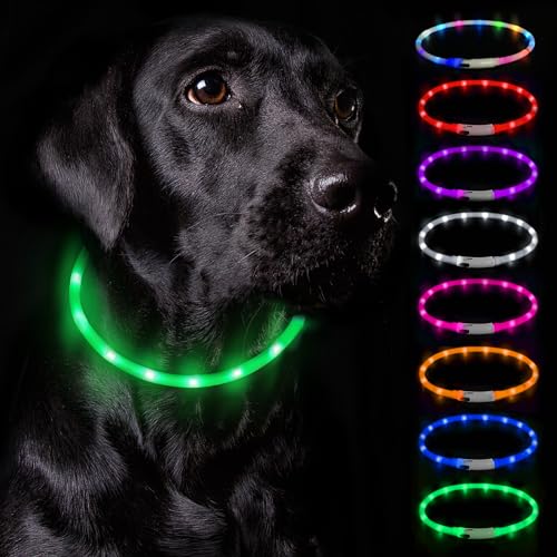 Nepfaivy Leuchthalsband Hund USB Aufladbar - Wasserdichtes Hundehalsband Leuchtend mit Verstellbarer Länge, LED Halsband für Hunde mit 3 Beleuchtungsmodi für Sicherheit, Grün von Nepfaivy